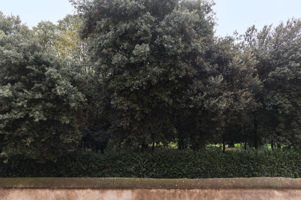 Ad Un Passo Da Villa Borghese Apartment 罗马 外观 照片